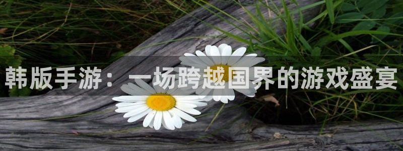 im电竞官网的奇趣腾讯是真的吗：韩版手游：一场跨越国界的游戏盛宴