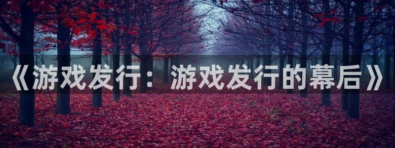 im电竞子文化是什么：《游戏发行：游戏发行的幕后》
