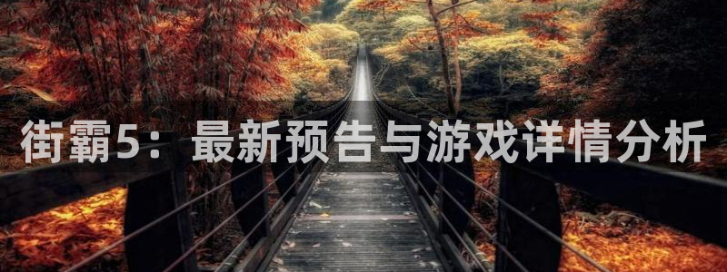 im电竞官网分红：街霸5：最新预告与游戏详情分析
