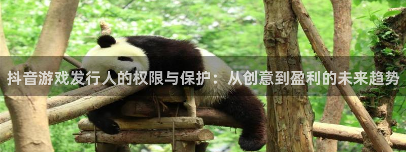 im电竞官网游戏平台介绍：抖音游戏发行人的权限与保护：从创意到盈利的未来趋势