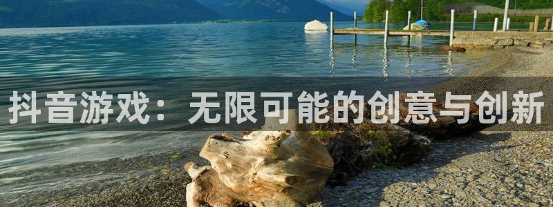 im电竞官网注册平台怎么注册：抖音游戏：无限可能的创意与创新