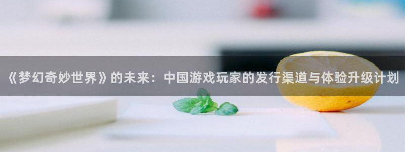 南京im电竞子电子商务有限公司：《梦幻奇妙世界》的未来：中国游戏玩家的发行渠道与体验升级计划