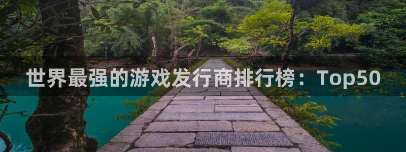 im电竞超纯啤酒怎么样：世界最强的游戏发行商排行榜：Top50