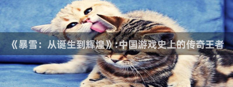 im电竞电子商务有限公司