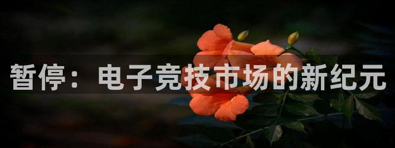 im电竞科技有限公司