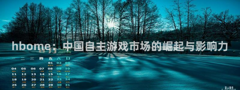 广州im电竞网络科技有限公司