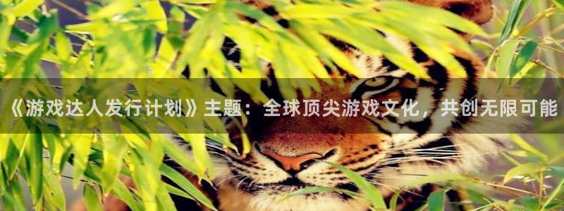 im电竞官网开户待遇：《游戏达人发行计划》主题：全球顶尖游戏文化，共创无限可能