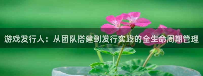 im电竞是什么：游戏发行人：从团队搭建到发行实践的全生命周期管理