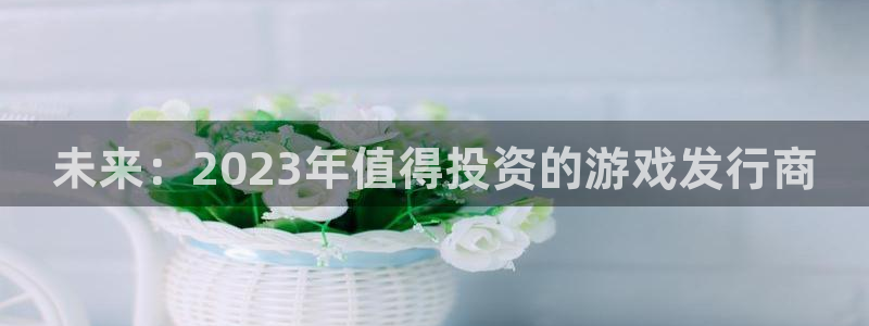 im电竞子文化：未来：2023年值得投资的游戏发行商