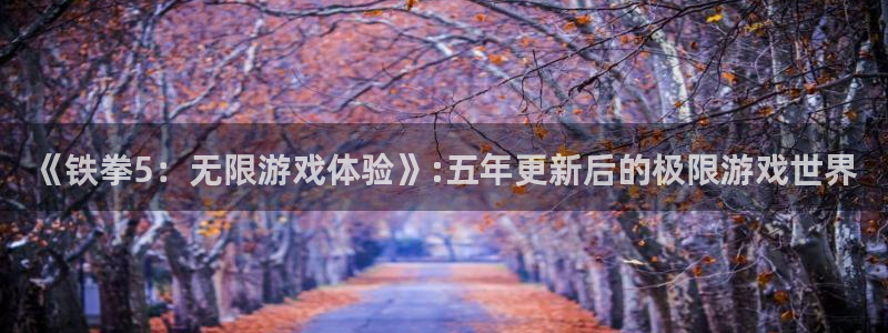 im电竞装饰：《铁拳5：无限游戏体验》:五年更新后的极限游戏世界