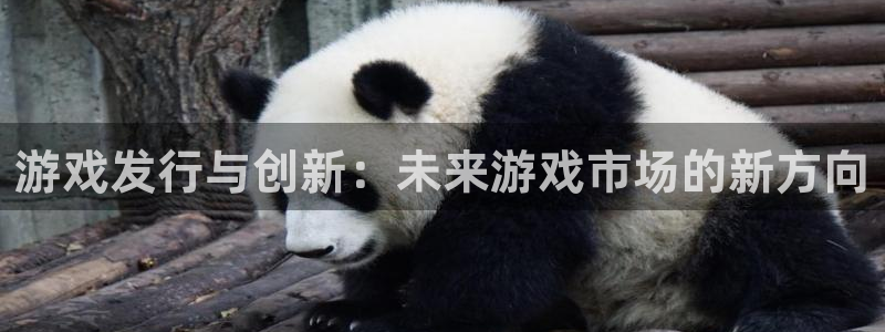im电竞智得官网：游戏发行与创新：未来游戏市场的新方向
