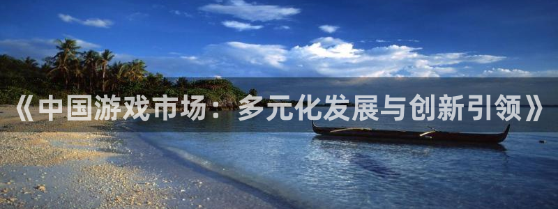 im电竞子出版社董事长：《中国游戏市场：多元化发展与创新引领》