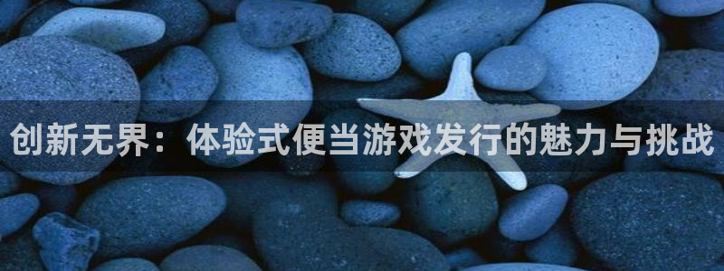 im电竞子怎么样：创新无界：体验式便当游戏发行的魅力与挑战