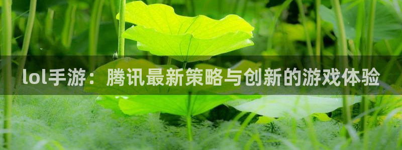 im电竞智邦(北京)品牌策划有限公司：lol手游：腾讯最新策略与创新的游戏体验