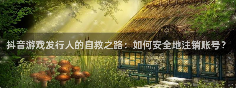 im电竞电子商务有限公司怎么样啊