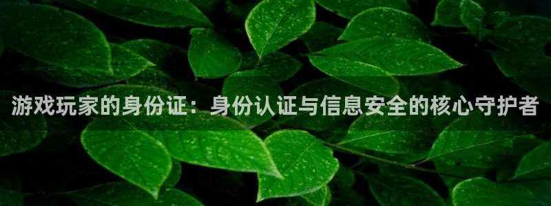 im电竞官网登录注册不了账号：游戏玩家的身份证：身份认证与信息安全的核心守护者