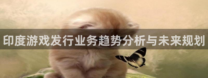 im电竞官网登录注册账号安全吗是真的吗：印度游戏发行业务趋势分析与未来规划