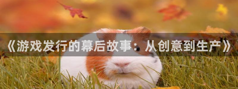 im电竞官网登录注册：《游戏发行的幕后故事：从创意到生产》