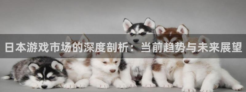 im电竞官网登录注册失败怎么办：日本游戏市场的深度剖析：当前趋势与未来展望