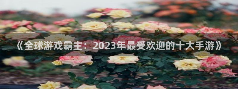 im电竞子出版社董事长
