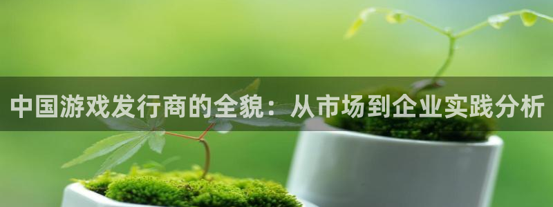 im电竞子上市：中国游戏发行商的全貌：从市场到企业实践分析