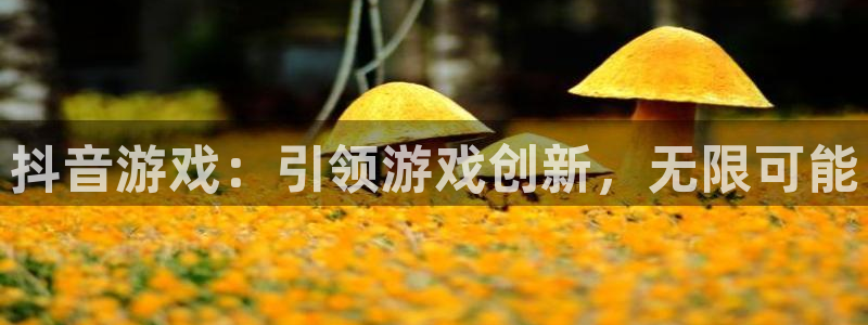 im电竞官网注册方法是什么软件：抖音游戏：引领游戏创新，无限可能