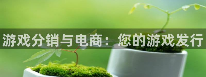 im电竞电子商务怎么样