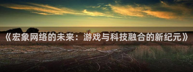 四川im电竞科技有限公司